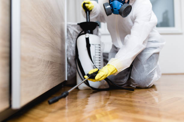 Best Wildlife Control Services  in South San Gabriel, CA