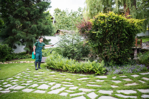 Best Wasp Removal Services  in South San Gabriel, CA