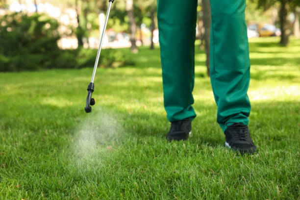 Best Mosquito Control Services  in South San Gabriel, CA