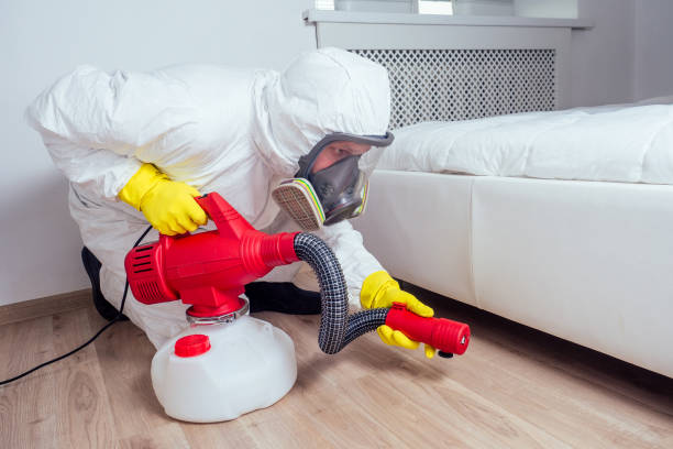 Best Best Pest Control Companies  in South San Gabriel, CA