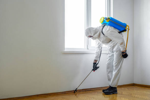 South San Gabriel, CA Pest Control Company
