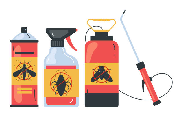 Best Pest Control Near Me in South San Gabriel, CA
