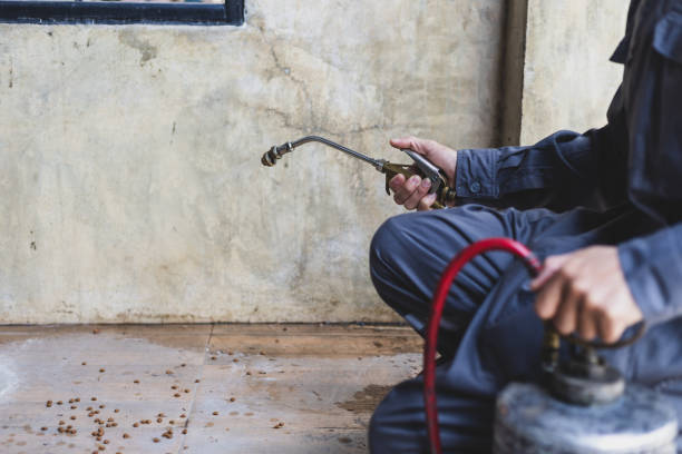 Best Commercial Pest Control Services  in South San Gabriel, CA
